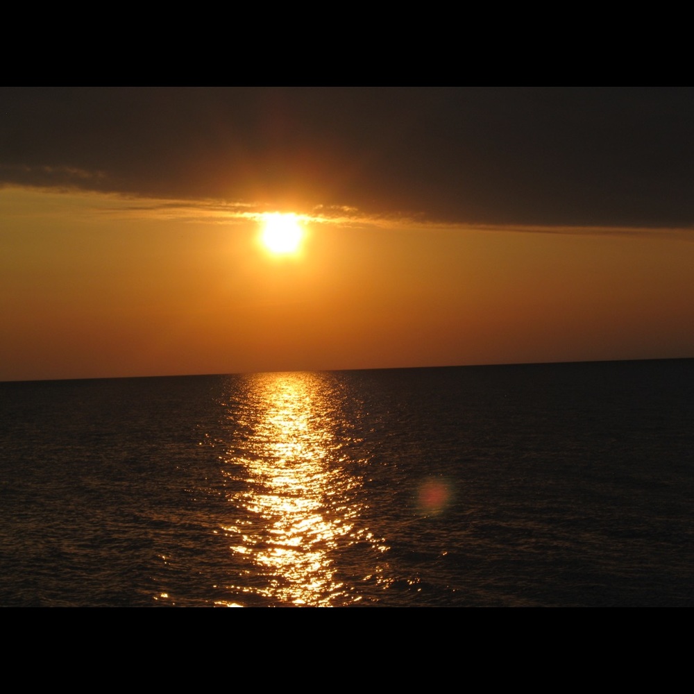 Meet your Posher, Jean